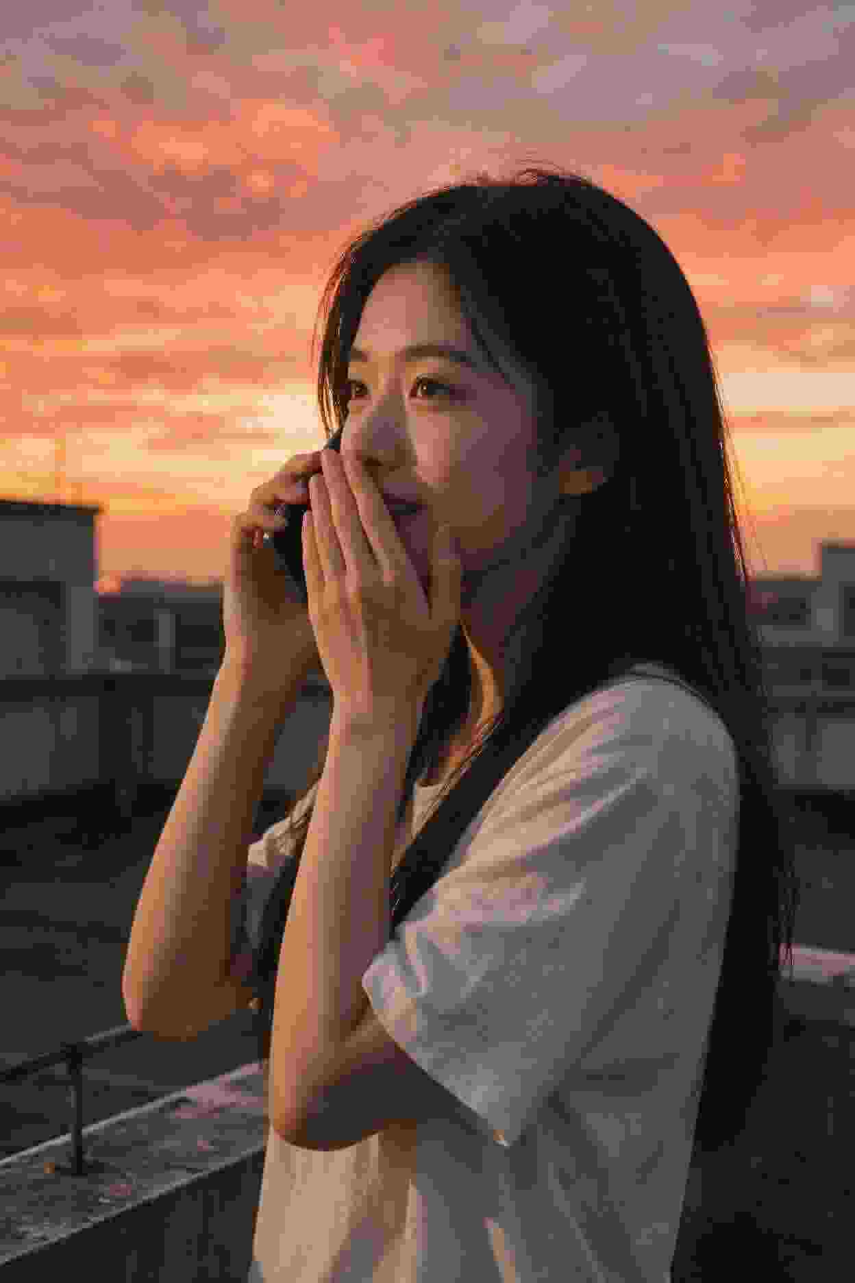 宠物日记